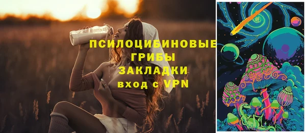 соль курить ск Горно-Алтайск