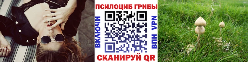 кракен зеркало  Окуловка  Псилоцибиновые грибы Cubensis 